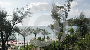 Aerial view of the patong beach with palm tree and greenery tree with calm peacful sea view