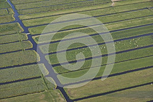 Aerial view of peat excavation meadow landscape with agricultural function near Vinkeveen in the Netherlands