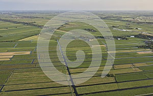 Aerial view of peat excavation meadow landscape with agricultural function near Vinkeveen in the Netherlands