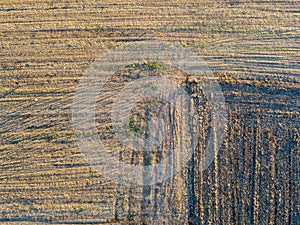 Aerial view of people strolling at sunset, in the middle of a field