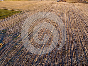 Aerial view of people strolling at sunset, in the middle of a field