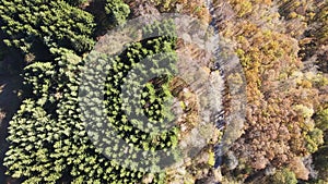 Aerial view of Perla beach, Burgas Region, Bulgaria