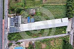 Aerial view of photovoltaic solar panels or solar cells installed at rooftop of factory building among the plantation in