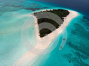 Aerial view of Picturesque Mnemba Atoll in Zanzibar - The Famous Spot for Snorkeling and Boat Tour