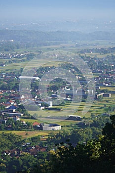An aerial view of a picturesque village with quaint houses, lush rice fields, and verdant trees.