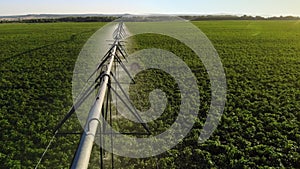 Aerial view pivot at work in potato field, watering crop for more growth. Center pivot system irrigation. Watering crop