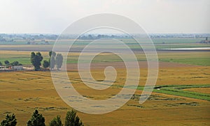 Aerial view of the plain with the cultivated fields and crops