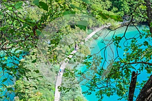 Aerial View of Plitvice Lakes National Park in Croatia. Tourists Enjoy the Tour on the Wooden Pathway in a Natural Environment