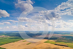 Aerial view of plowed and green fields and pine forest in spring