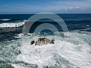 Aerial View of Powerful Waves and Rocks in California