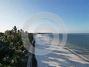 Aerial view of a pristine beach with coconut and palm trees on the shoreline in Zanzibar