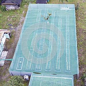 Aerial view of a private snail farm. Helix Aspersa Muller, Maxima Snail. Organic Farming