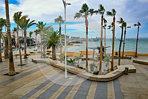 Aerial view of promenade or Malecon with palm trees