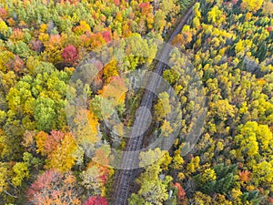 Aerial view of Old Railway Track in Colorful Forest