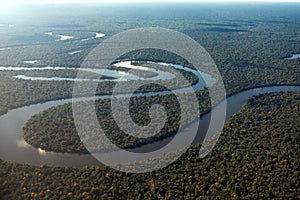 Aerial view of the rainforest and the Amazonas River photo