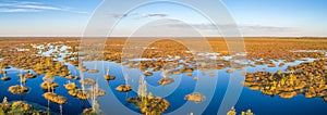 Aerial view of a raised bog photo