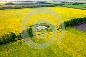 Aerial view of rapeseed blooming fields