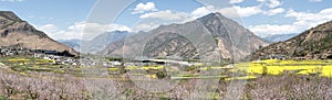 Aerial view of rapeseed flowers around ShiGu village near Lijiang . ShiGu is in Yunnan, China, and was part of the South Silk Road