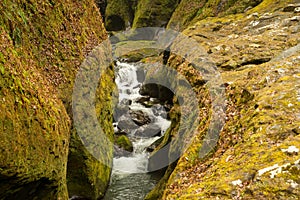 Aerial view of rapids and gorge