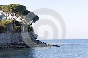 Aerial view of Recco beach and sea.