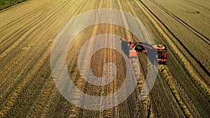 Aerial view of a red combine harvester and an agricultural machine harvesting golden ripe wheat in a field. Top view.