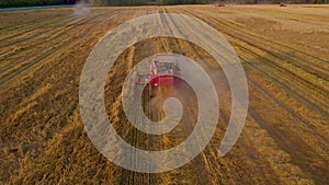 Aerial view red harvester working in the field. Harvesting of wheat in summer.