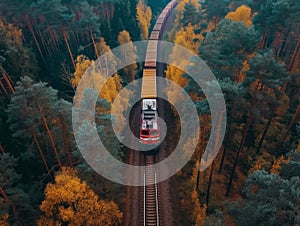 Train Journey Through Autumn Forest