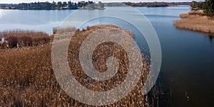 Aerial view of reed beds on the lake in spring