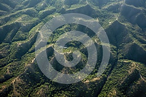 aerial view of regrowth patterns in wildfire area