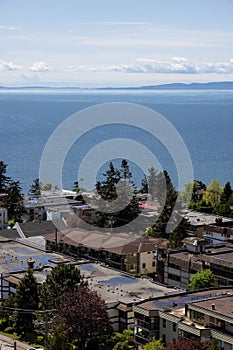 Aerial View of Residential Homes in a peaceful neighborhood