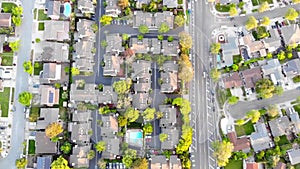 Aerial view of residential houses at spring. American neighborhood, suburb. Real estate, drone shots, sunset, sunlight