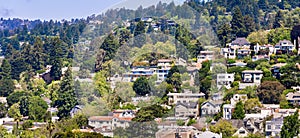 Aerial view of residential neighborhood built on a hill, Berkeley, San Francisco bay, California