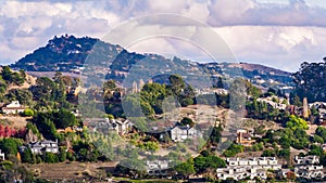 Aerial view of residential neighborhood with scattered houses build on hill slopes, Mill Valley, North San Francisco Bay Area,