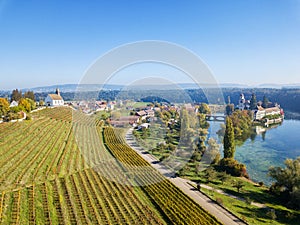 Aerial view of the Rheinau, Switzerland photo