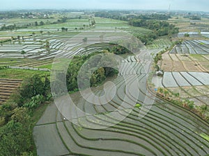 Aerial view of rice field land at tanah lot bali