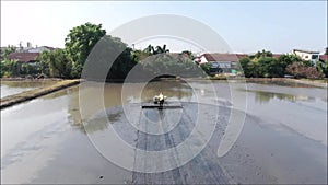 Aerial view of rice field preparation for rice cultivation in Thailand