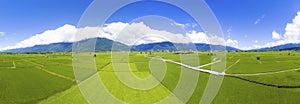 Aerial view of rice field valley. taiwan.