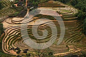 Aerial view of the rice paddies of Lao Chai, Sa Pa, Vietnam.