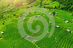 Aerial view of Rice terrace at Ban pa bong piang in Chiang mai, Thailand.