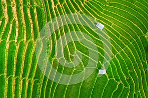 Aerial view of Rice terrace at Ban pa bong piang in Chiang mai, Thailand.