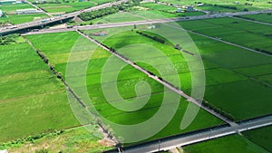 Aerial view of Rice terrace fields