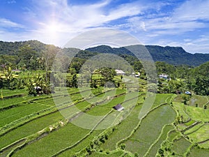 Aerial view on rice terraces, Bali, Indonesia