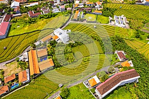 Aerial view of rice terraces in Canggu, Bali, Indonesia