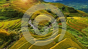 Aerial view of Rice terraces in Mu cang chai, Vietnam