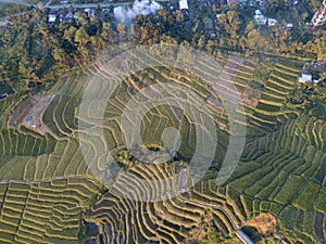 Beautiful aerial view of rural rice terraces photo