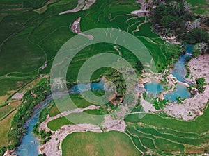 Aerial view ricefield, sumba island, east nusa tenggara indonesia