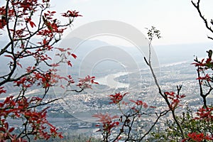 Aerial view of Rishkesh town..protect this environment