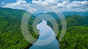 Aerial view river and forest tree, Rainforest ecosystem and healthy environment, Natural scenery of river in southeast Asia