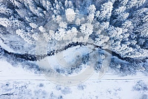 Aerial view on the river and forest at the winter time. Natural winter landscape from air. Forest under snow a the winter time.