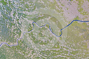 Aerial view of river meander in the lush green vegetation of the delta. Beautiful landscape - wild river in USA. National nature